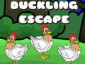 游戏Duckling Escape