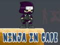游戏Ninja in Cape