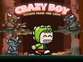 游戏Crazy Boy Escape From The Cave