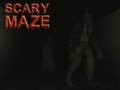 游戏Scary Maze