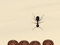 游戏Smash All Ants