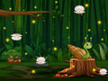 游戏Snail Run