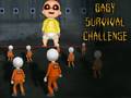 游戏Baby Survival Challenge
