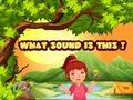 游戏What Sound Is This?