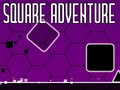 游戏Square Adventure