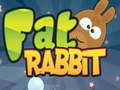 游戏Fat Rabbit