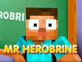 游戏Mr Herobrine