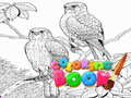 游戏Coloring Book for Adults