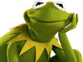 游戏Coloring Book For Kermit the Frog 