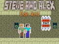 游戏Steve and Alex Ender World