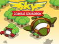 游戏Sky Combat Squardom