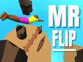 游戏Mr Flip