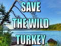 游戏Save The Wild Turkey