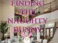 游戏Finding The Naughty Bunny