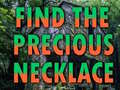 游戏Find The Precious Necklace