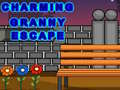 游戏Charming Granny Escape