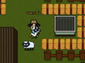 游戏Sheep13