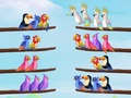 游戏Bird Sort Puzzle