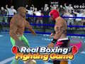 游戏Real Boxing Fighting Game