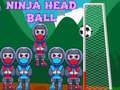 游戏Ninja Head Ball