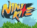 游戏Ninja Kite