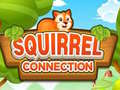 游戏Squirrel Connection