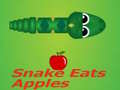 游戏Snake Eats Apple