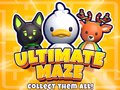 游戏Ultimate Maze! Collect Them All!