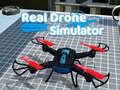 游戏Real Drone Simulator