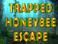 游戏Trapped Honeybee Escape