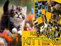 游戏Puzzle Sliding Kittens