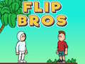 游戏Flip Bros
