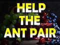 游戏Help The Ant Pair