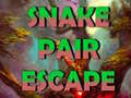 游戏Snake Pair Escape