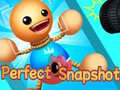 游戏Perfect Snapshot