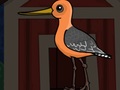 游戏Cute Godwit Escape