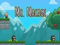 游戏Mr Macagi