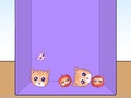 游戏Evolution of Cat Memes