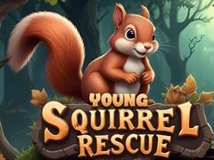 游戏Young Squirrel Rescue