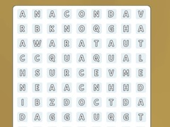游戏Hidden Words