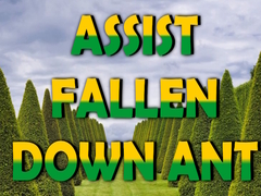 游戏 Assist Fallen Down Ant