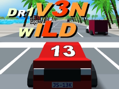 游戏Dr1v3n Wild
