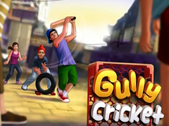 游戏Gully Cricket