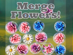 游戏Merge Flowers!