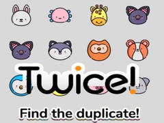 游戏Twice! Find the Duplicate!