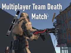 游戏Multiplayer Team Death Match