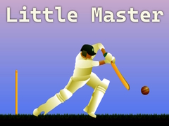 游戏Little Master