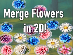 游戏Merge Flowers in 2D!