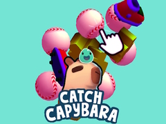 游戏Catch Capybara