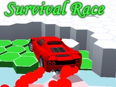 游戏Survival Race